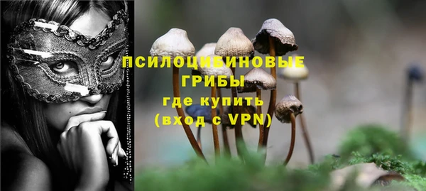 марки lsd Богданович