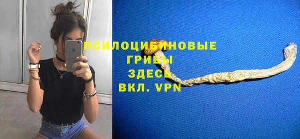 соль курить ск Богородицк